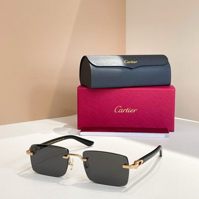 Cartier Sunglasses — 5