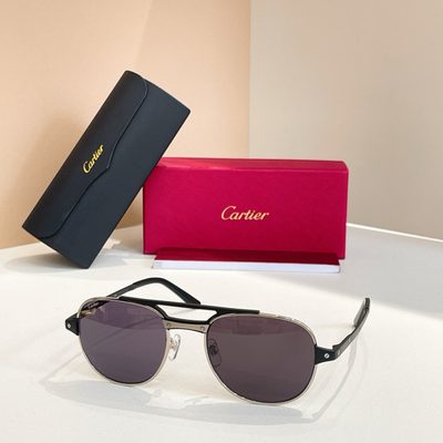 Cartier Sunglasses — 4