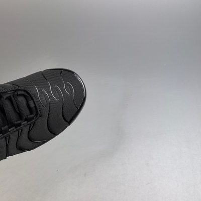 Nike Air Max Plus trainers — 7