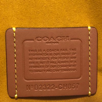 Coach Bag — 8