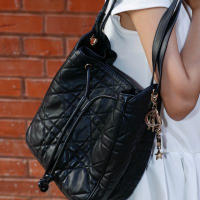 Dior Bag — 3