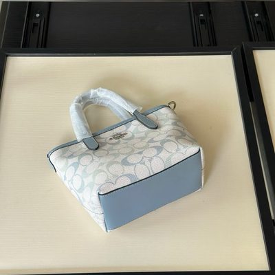 Coach Bag — 8