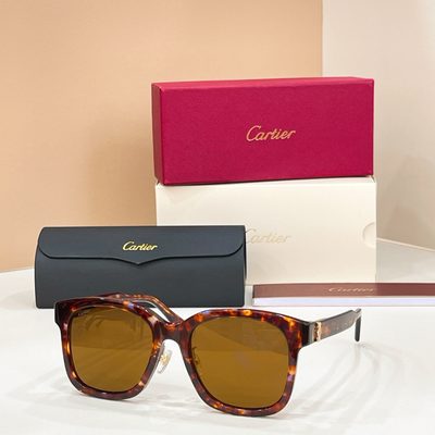 Cartier Sunglasses — 4