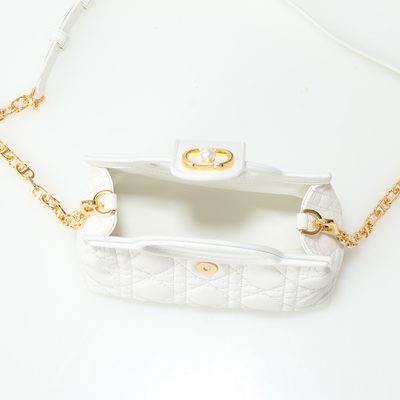 Dior Bag — 5