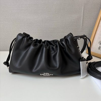 Coach Bag — 5