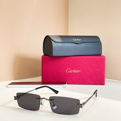 Cartier Sunglasses — 3