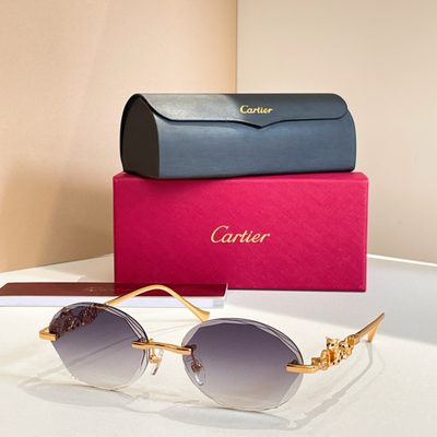 Cartier Sunglasses — 5