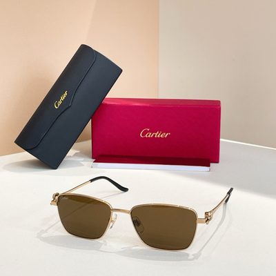 Cartier Sunglasses — 7