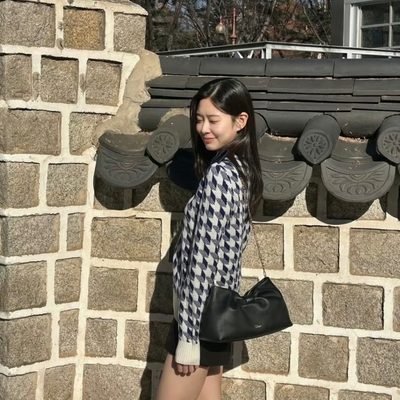 Dior Bag — 10