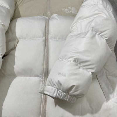 The North Face 1996 Retro Nuptse Down Jacket — 3
