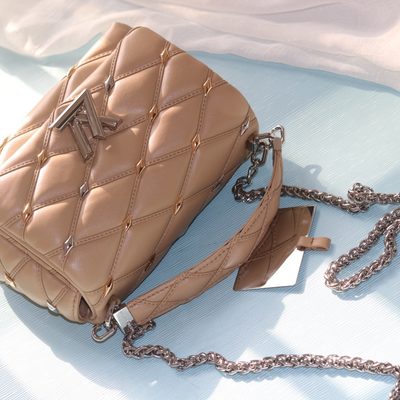 Louis Vuitton Bag