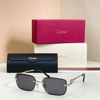 Cartier sunglasses — 7