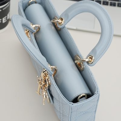 Dior Bag — 6