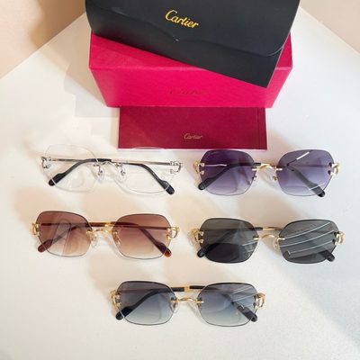 Cartier Sunglasses — 8