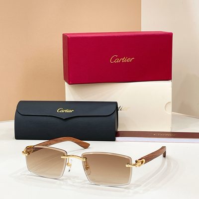 Cartier Sunglasses — 6