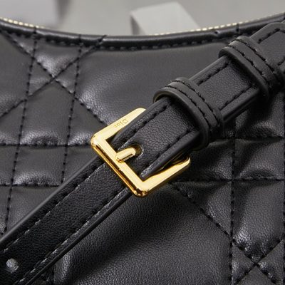 Dior Bag — 7