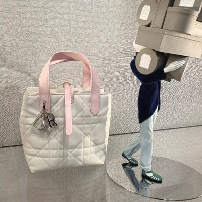 Dior Bag — 7