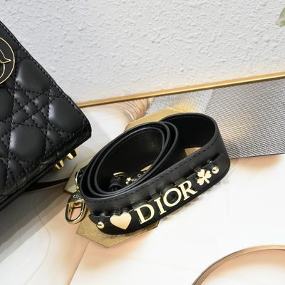 Dior Bag — 3