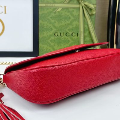 Gucci Bag — 6