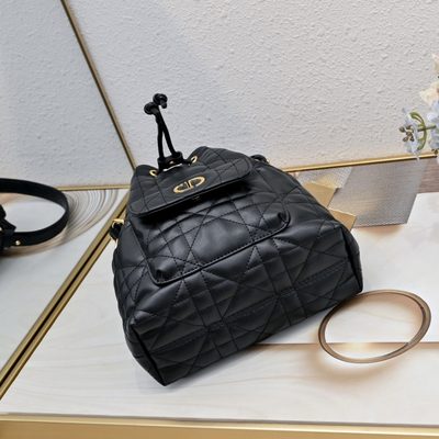 Dior Bag — 7