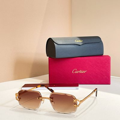 Cartier Sunglasses — 8