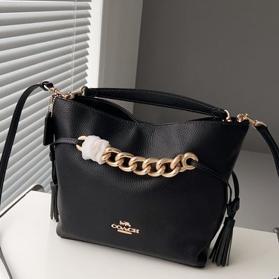 Coach Bag — 16