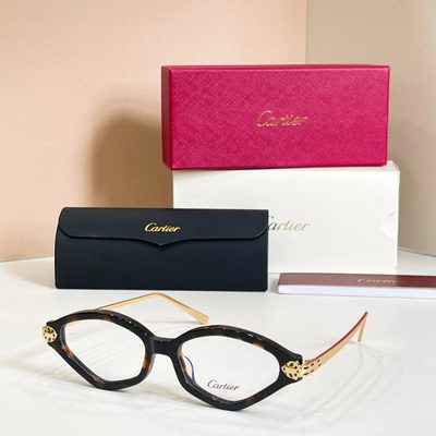 Cartier Sunglasses — 5