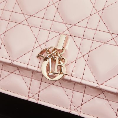 Dior Bag — 5