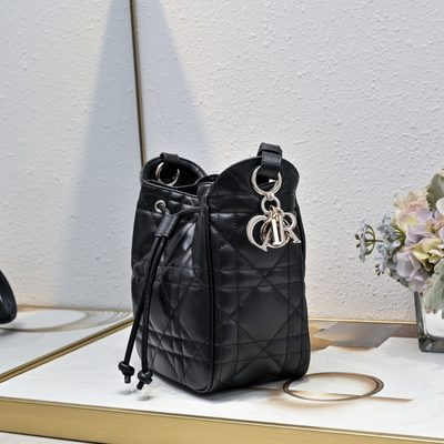 Dior Bag — 4