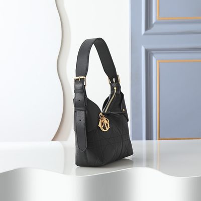 Dior Bag — 4