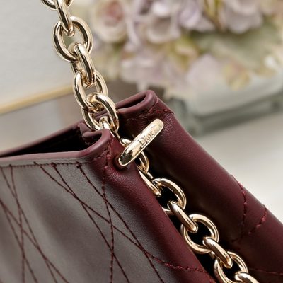 Dior Bag — 6