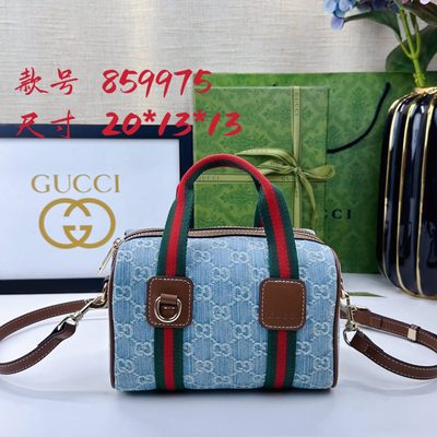 Gucci Bag