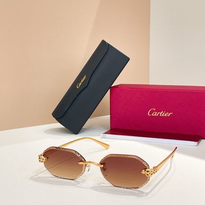 Cartier Sunglasses — 5