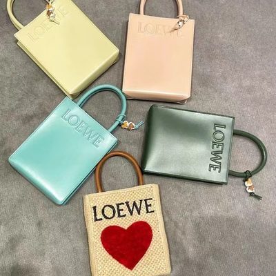 Loewe Bag — 6
