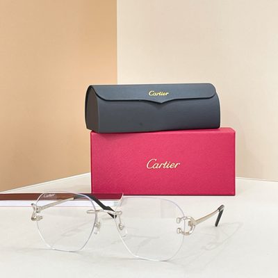 Cartier Sunglasses — 6