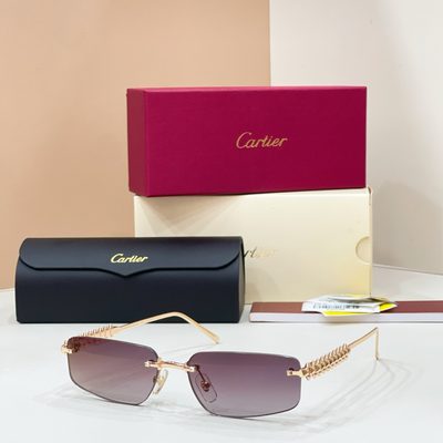Cartier Sunglasses — 3