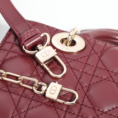 Dior Bag — 5