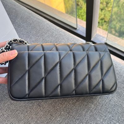 Coach Bag — 3