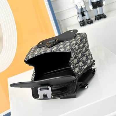 Dior Saddle mini backpack — 9
