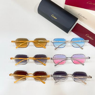 Cartier Sunglasses — 9