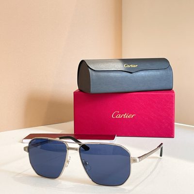 Cartier Sunglasses — 4
