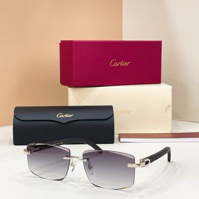 Cartier sunglasses — 4