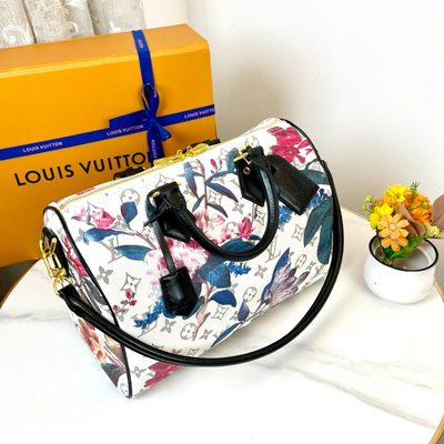 Louis Vuitton Bag — 3