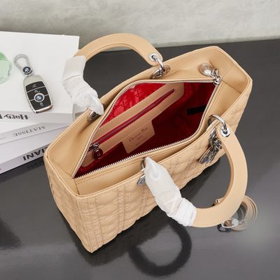 Dior Bag — 9