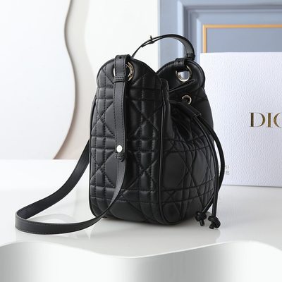 Dior Bag — 3