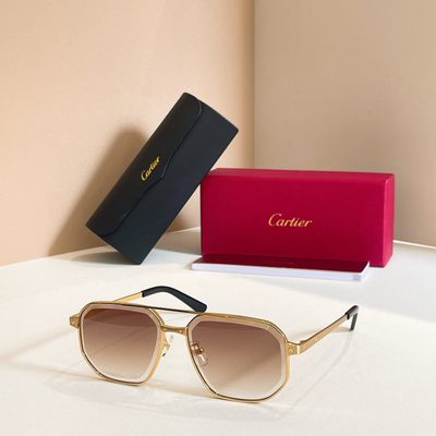 Cartier Sunglasses — 6