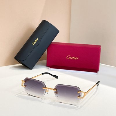 Cartier Sunglasses — 5