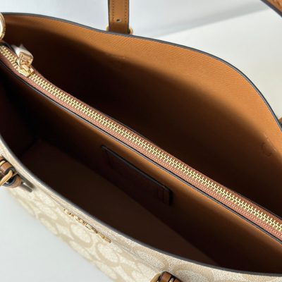 Coach Bag — 8