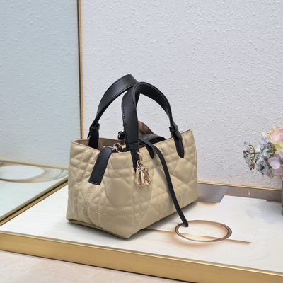 Dior Bag — 3