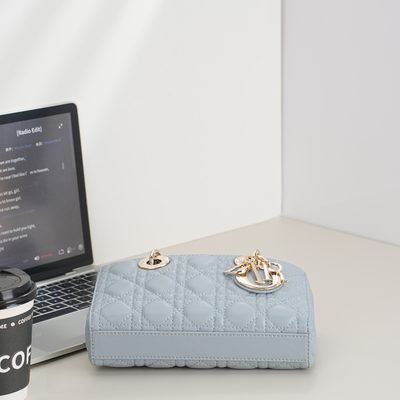 Dior Bag — 6